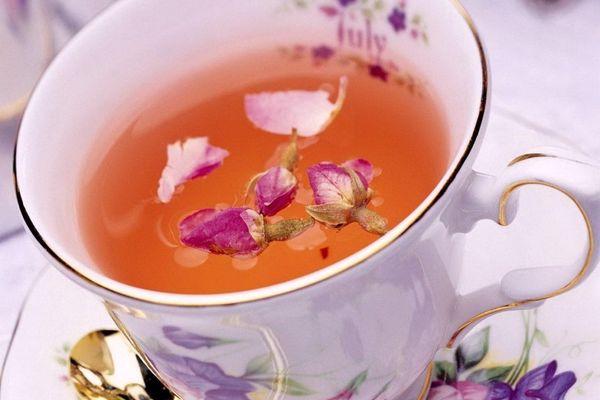 كيف تشرب شاي إيفان بشكل صحيح من أجل الصحة والعافية