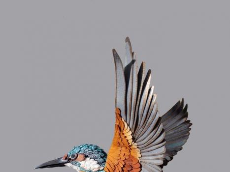 Lintukäsityö - ideoita lintujen tekemiseen omin käsin erilaisista materiaaleista