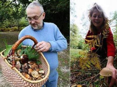 When and in which forests to collect edible mushrooms